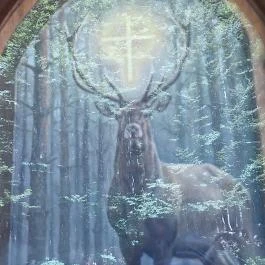 Bakonyi Gyilkos-tó Ugod - Egyéb