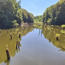 Bakonyi Gyilkos-tó Ugod - Külső kép