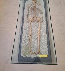 Balassa Bálint Múzeum - Látványtár