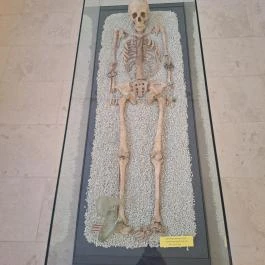 Balassa Bálint Múzeum - Látványtár, Esztergom - Egyéb