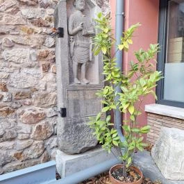 Balassa Bálint Múzeum - Látványtár, Esztergom - Egyéb