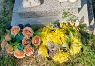 Balatonudvari temető Balatonudvari