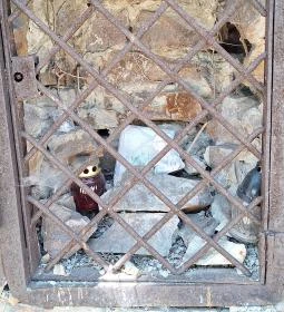 Balesetek áldozatainak emlékhelye