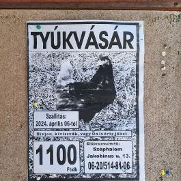 Balkon Büfé & Vendéglő Hollóháza - Egyéb