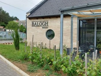 Balogh Pincészet Pécsely