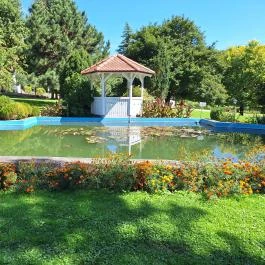 Bánó Mária Kastélyszálló, Fels?mocsolád - Medence/kert