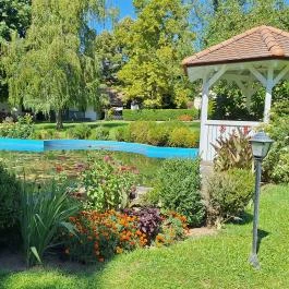 Bánó Mária Kastélyszálló, Fels?mocsolád - Medence/kert