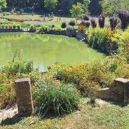 Bánó Mária Kastélyszálló, Fels?mocsolád - Medence/kert