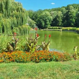 Bánó Mária Kastélyszálló, Fels?mocsolád - Medence/kert