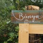 Bánya Köztér Salföld - Egyéb