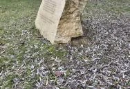 Bányász emlékmű Nagykovácsi