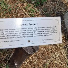 Bányász Emlékpark, Rózsaszentmárton - Egyéb