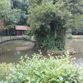 Barackos Vendégház, Biharugra - Medence/kert