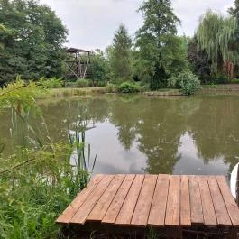 Barackos Vendégház, Biharugra - Medence/kert