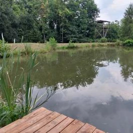 Barackos Vendégház, Biharugra - Medence/kert