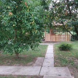 Barackos Vendégház, Biharugra - Medence/kert