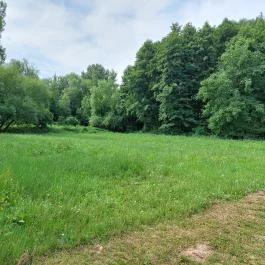 Barackos Vendégház, Biharugra - Medence/kert