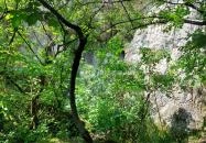 Báraczháza-barlang Csákvár