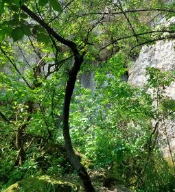 Báraczháza-barlang