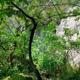 Báraczháza-barlang Csákvár - Külső kép