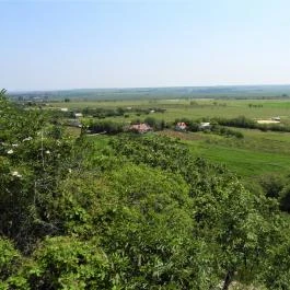 Báraczháza-barlang Csákvár - Külső kép