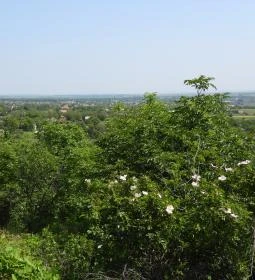 Báraczháza-barlang