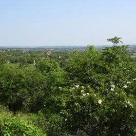 Báraczháza-barlang Csákvár - Külső kép