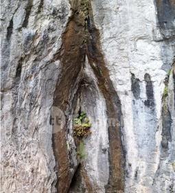 Baradla-barlang Aggteleki Bejárat