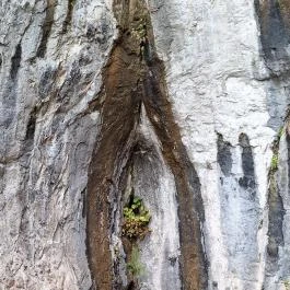 Baradla-barlang Aggteleki Bejárat, Aggtelek - Egyéb