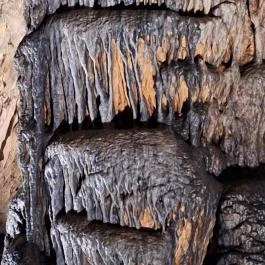 Baradla-barlang Aggteleki Bejárat, Aggtelek - Egyéb