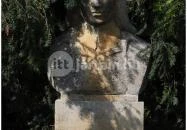 Barangoló - Kastélypark tanösvény Martonvásár