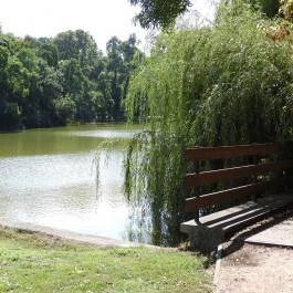 Barangoló - Kastélypark tanösvény Martonvásár - Külső kép