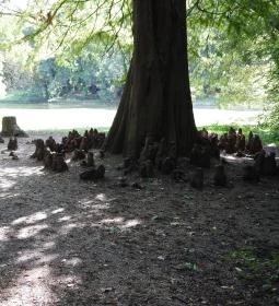 Barangoló - Kastélypark tanösvény