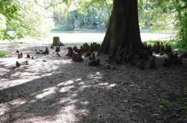 Barangoló - Kastélypark tanösvény Martonvásár