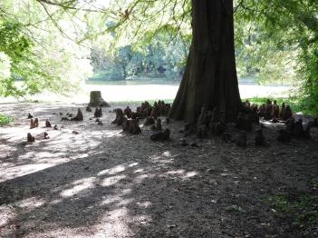 Barangoló - Kastélypark tanösvény Martonvásár