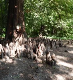 Barangoló - Kastélypark tanösvény