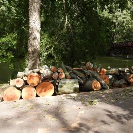 Barangoló - Kastélypark tanösvény Martonvásár - Egyéb