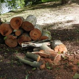 Barangoló - Kastélypark tanösvény Martonvásár - Egyéb