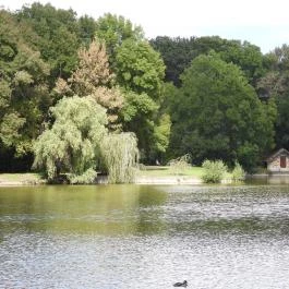 Barangoló - Kastélypark tanösvény Martonvásár - Külső kép