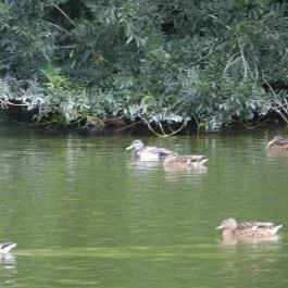 Barangoló - Kastélypark tanösvény Martonvásár - Külső kép