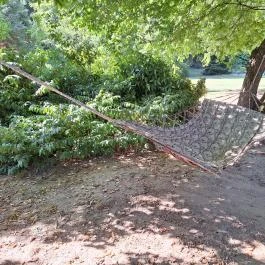 Bárdi Birtok Vendégház Bárdudvarnok - Medence/kert