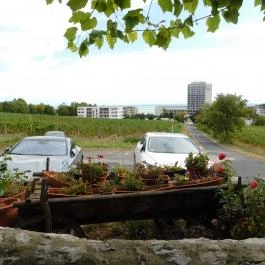 Baricska Csárda, Balatonfüred - Egyéb