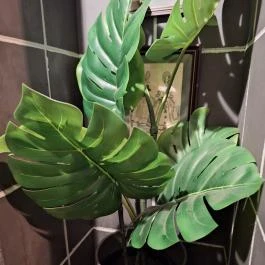 Barside, Budapest - Egyéb