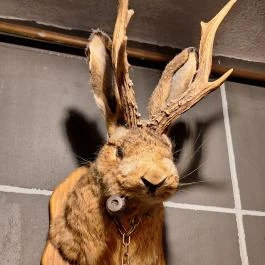 Barside, Budapest - Egyéb