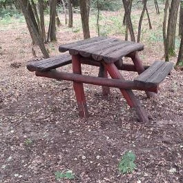 Basa fa Nagykőrös - Egyéb