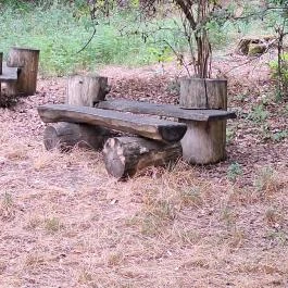 Basa fa Nagykőrös - Egyéb