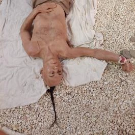 Báthori Várkastély & Panoptikum, Nyírbátor - Belső