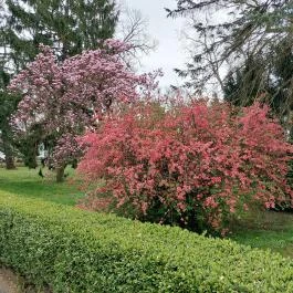 Batthyány Kastélyszálló Zalacsány - Külső kép