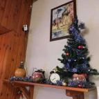 Bécsiszelet Vendéglő - József körút Budapest - Belső