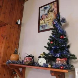 Bécsiszelet Vendéglő - József körút Budapest - Belső